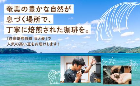 【自家焙煎】豆と麦 グアテマラ（豆） 計600g（200g×3袋） A017-019-01 コーヒー 珈琲 グアテマラ 豆 中深煎り 自家栽培珈琲 自家栽培 コク 甘味 豆と麦 自家焙煎珈琲豆と麦 ふるさと納税 鹿児島 奄美市 おすすめ ランキング プレゼント ギフト