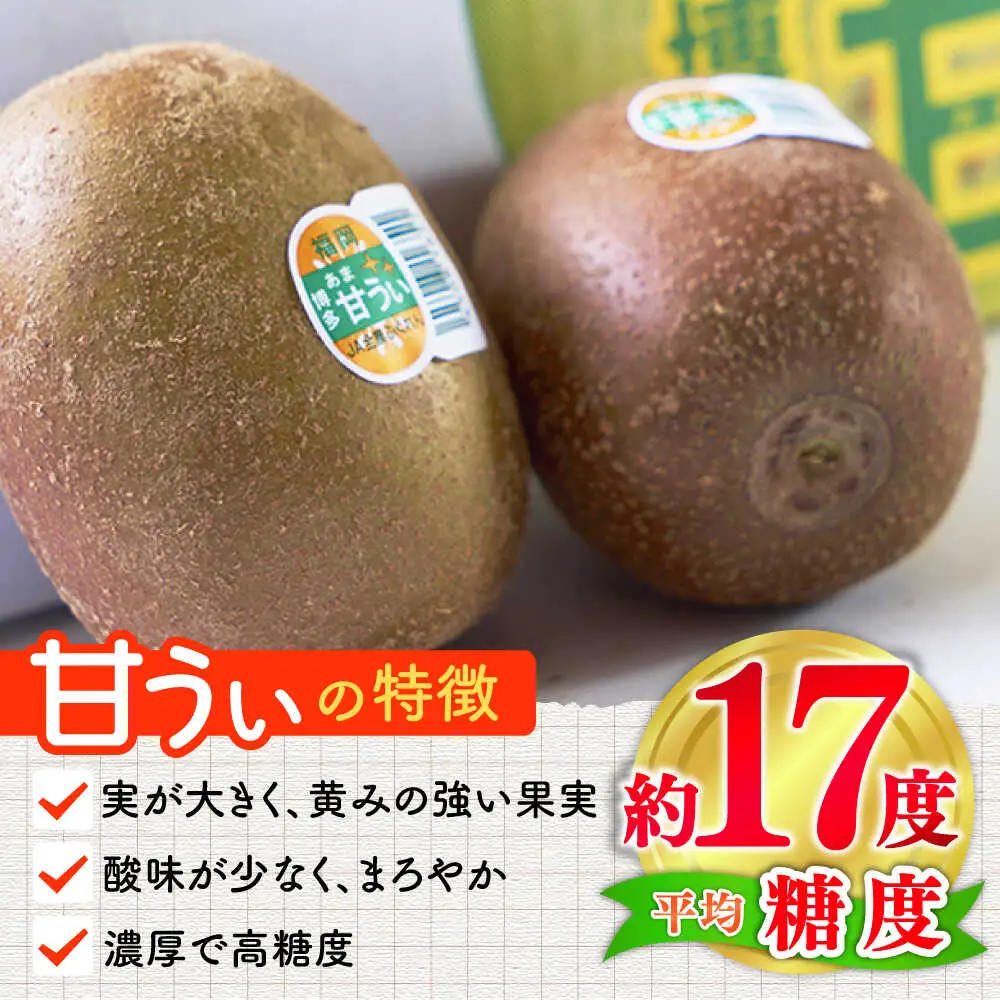 先行予約 キウイフルーツ 甘うぃ 約3kg 24-30玉[BGAG018] きうい
