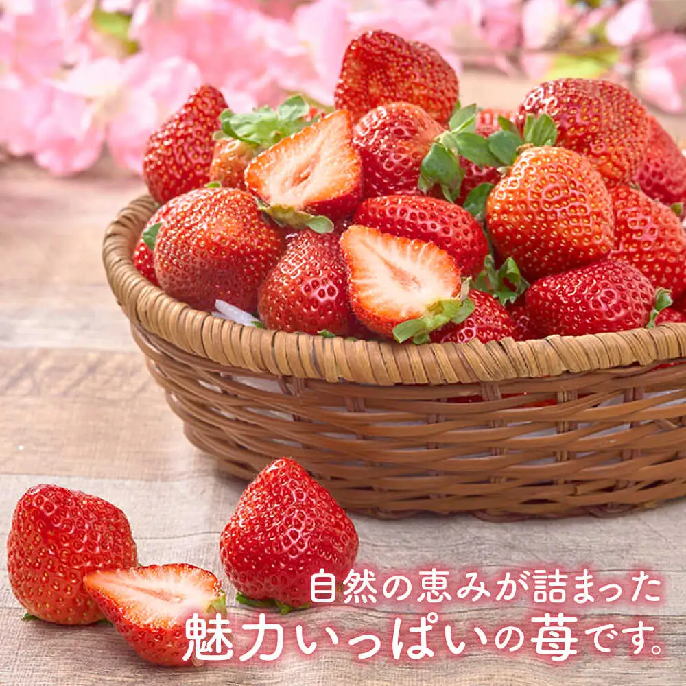 【先行予約】春あまおう6P BGAG026 あまおういちご