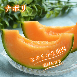 メロン 赤肉 ナポリ 1玉 期間限定 フルーツ 果物【 メロン 】