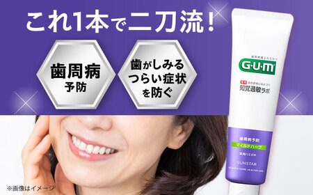 GUM知覚ラボ デンタルペースト 90g（マイルドハーブ）20本[AOAD051] ハミガキ