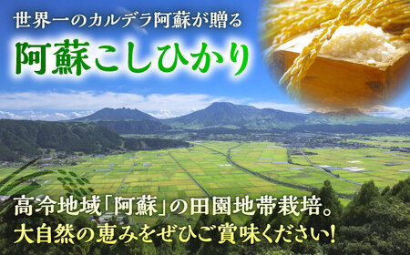 【令和7年産】熊本県産 阿蘇コシヒカリ 5kg 白米 コシヒカリ[BHBP001]