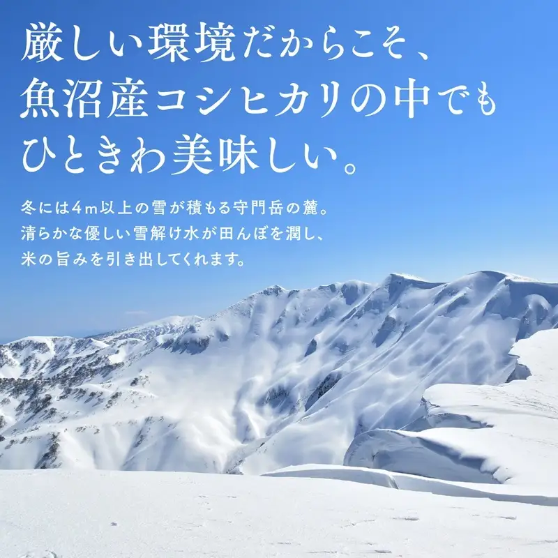 【令和8年産 新米先行受付】魚沼産コシヒカリ雪の恵（精米）3kg