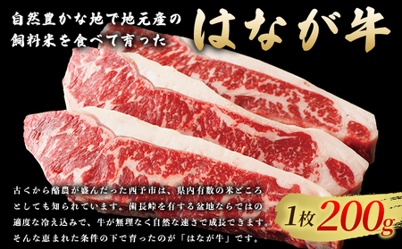 ＜熟成肉 はなが牛 ロースステーキ 10枚（1枚200g）＞ 牛肉 牛 肉 ろーすすてーき ステーキ サーロイン ブランド牛 鉄板焼き 焼き肉 焼肉 バーベキュー BBQ 国産 小分け 特産品 愛媛県 ゆうぼく 西予市【冷凍】『2か月以内に順次発送』UYB0018