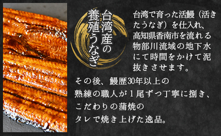 【３回定期便】養殖うなぎ蒲焼き 約140g×２尾(台湾産鰻) - 鰻 ウナギ 養殖 かばやき タレ付き たれ おつまみ スタミナ 土用の丑の日 うな丼 うな重 丼ぶり 一品 おかず 高知県 香南市 冷凍 Wfb-0086