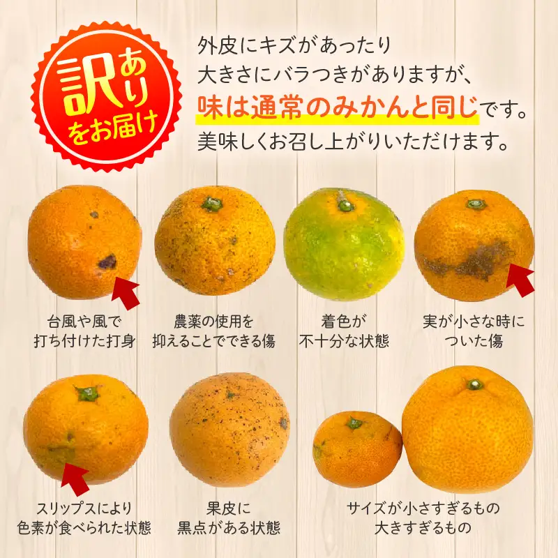 果物 温州みかん 果物[訳あり 5kg 2026年～2027年発送先行予約]
