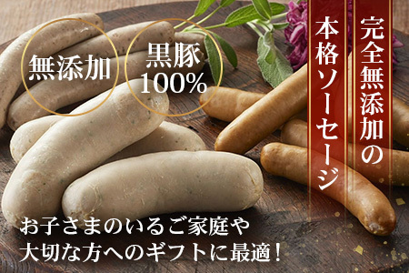 鹿児島県産 ノン・アッドソーセージ詰合せA 合計約600g | 肉 お肉 豚肉 ぶた 豚 ブタ 黒豚 ソーセージ おかず おつまみ 国産 冷凍 ギフト 鹿児島県 南大隅町 南州農場　NS-8