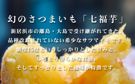 【先行予約】【数量限定】 新居大島の遺伝子を受け継ぐ幻のさつまいも 「七福芋（白いも）」 新居大島原産・本土栽培品 2kg