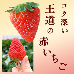 いちご 冷凍いちご フルーツ 果物 いちご【1kg】【訳あり】【冷凍】