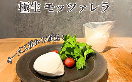 モッツァレラ チーズ 3種＋ チギチー 4種セット  | 【 チーズ 】