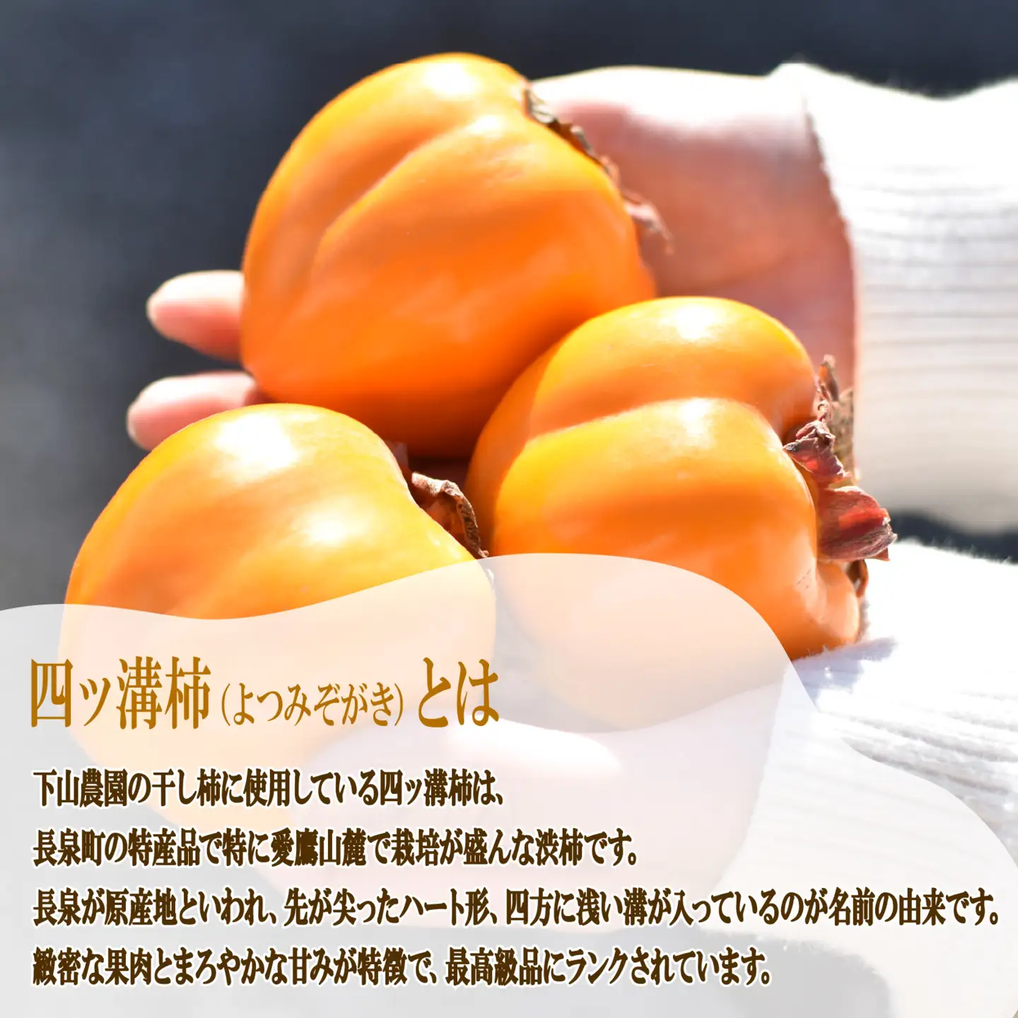 干し柿 28玉 四ツ溝柿 長泉