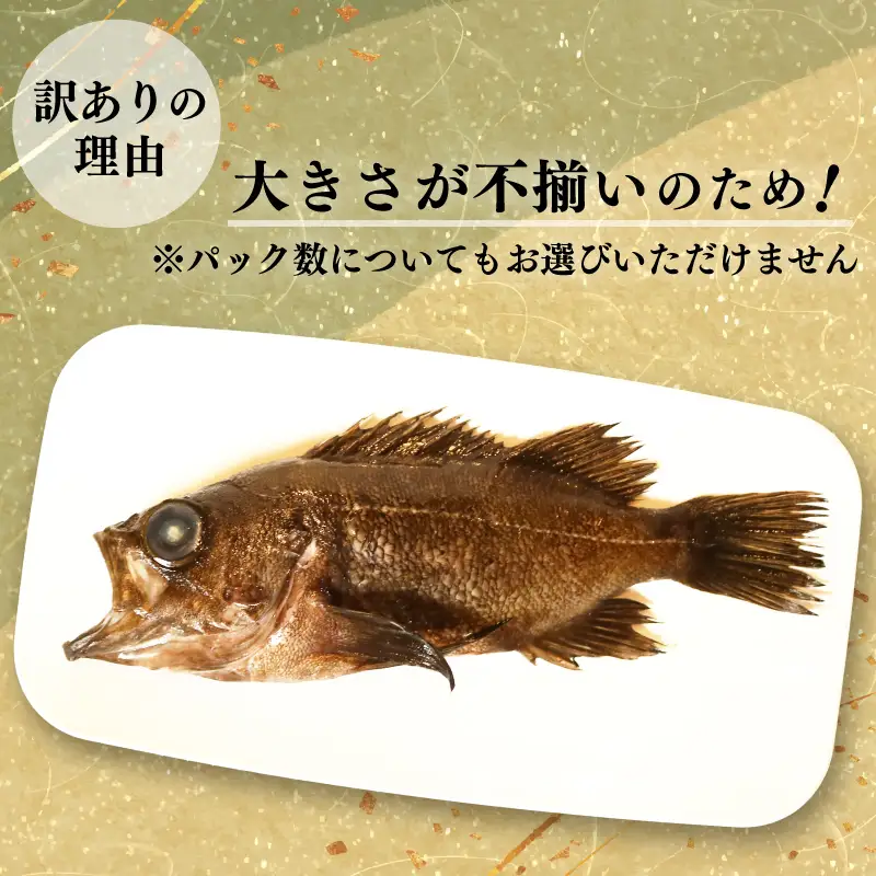 訳あり メバル 3尾 大きさ不揃い 下処理済み 冷凍 ワガ 3匹 めばる