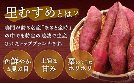 【予約受付中・2026年9月下旬頃より順次発送】なると金時 里むすめ 1.5kg　鳴門金時　さつま芋　サツマイモ　