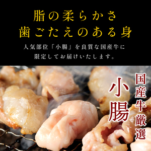 〈スピード出荷〉小腸ホルモン （しょうゆダレ 小分け 500g）ホルモン MSK029