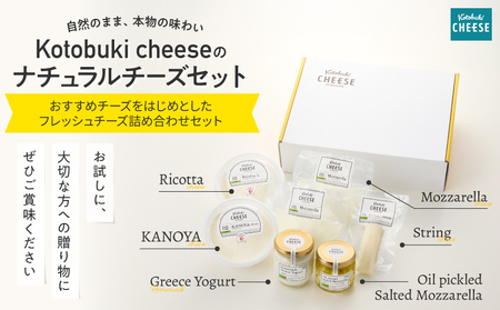 【 全12回定期便 】kotobuki cheese ナチュラルチーズセット KN087-T02 チーズ 乳製品