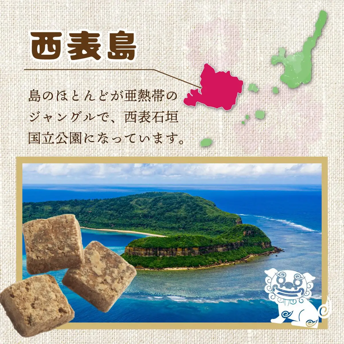 西表島産黒糖180g 10袋