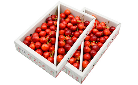 【ご家庭みんなで楽しめる！2kg】山形のさくらんぼ 紅てまり 2kg Lサイズ以上 バラ詰 (1kg×2箱) 【令和9年産先行予約】FS26-649