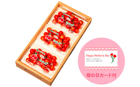 一足先にお届け！【母の日】さくらんぼ佐藤錦540gLサイズ以上(180g×3パック) 【令和9年産先行予約】FS26-645