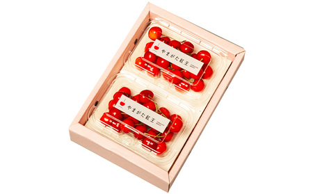 やまがた紅王 約360g 2～3Lサイズ (180g×2パック) 【令和9年産先行予約】FS26-642