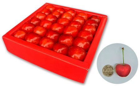 山形市産さくらんぼ「やまがた紅王プレミアム」 約350g 特秀品 4L 30粒  【令和9年産先行予約】FS25-037