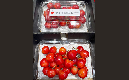 さくらんぼ ”やまがた紅王” 2Lサイズ 360g(180g×2パック入り) 【令和9年産先行予約】FS26-620