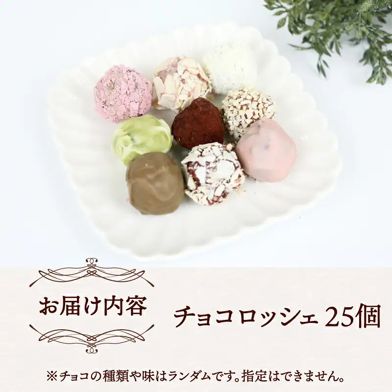 ロッシェ 25個 久遠 チョコレート ちょこちょこ チョコレート J010-167007