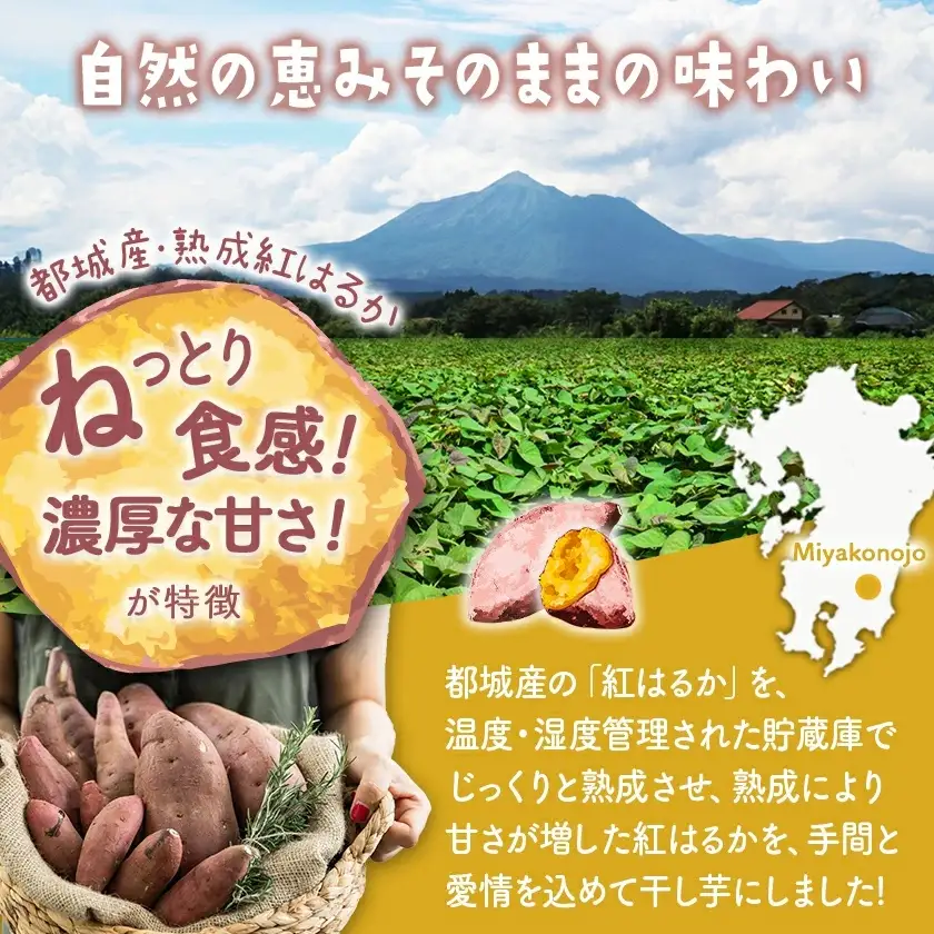 【3回定期便】☆熟成紅はるか☆干し芋150g×2袋※ポスト投函〔T15-3-I201〕_(都城市)  都城産 熟成 紅はるか スイーツ おやつ