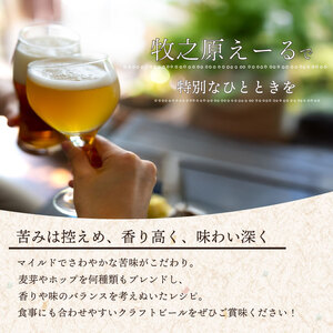 ジャパン グレートビア アワーズ 2025 受賞 ｜牧之原えーる 定番 3本 クラフトビール
