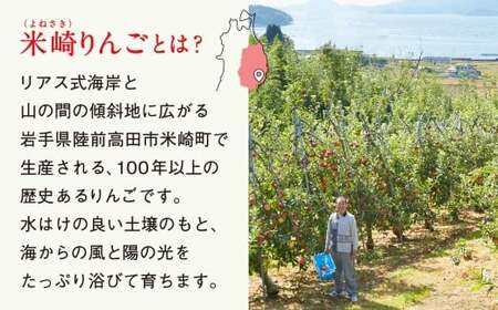先行予約 りんご 2.5kg 【品種：ジョナゴールド】 果物 フルーツ 訳あり 家庭用 米崎りんご