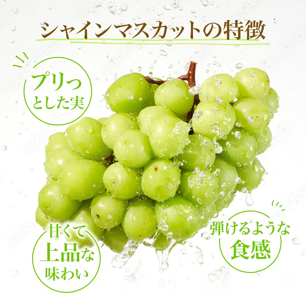 【先行予約】 シャインマスカット 2房計1.4kg～1.6kg《贈答用/熨斗なし化粧箱》
