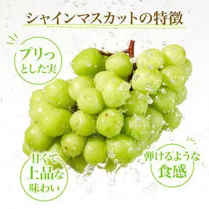 【先行予約】 [訳あり]  シャインマスカット 2房 計1kg～1.2kg