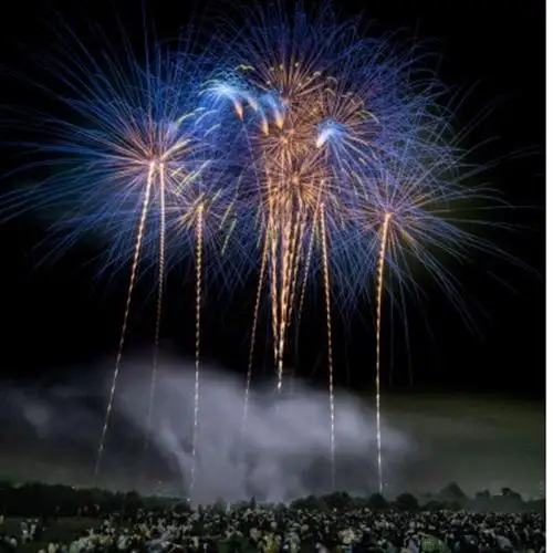 【2026年10月4日開催】秋花火in京都府城陽市 夏の夜空を彩るイベントで最高の思い出を(一般)【1646350】