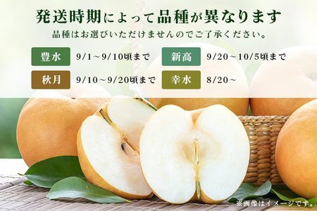 石岡のおいしい梨5kg  A39-002
