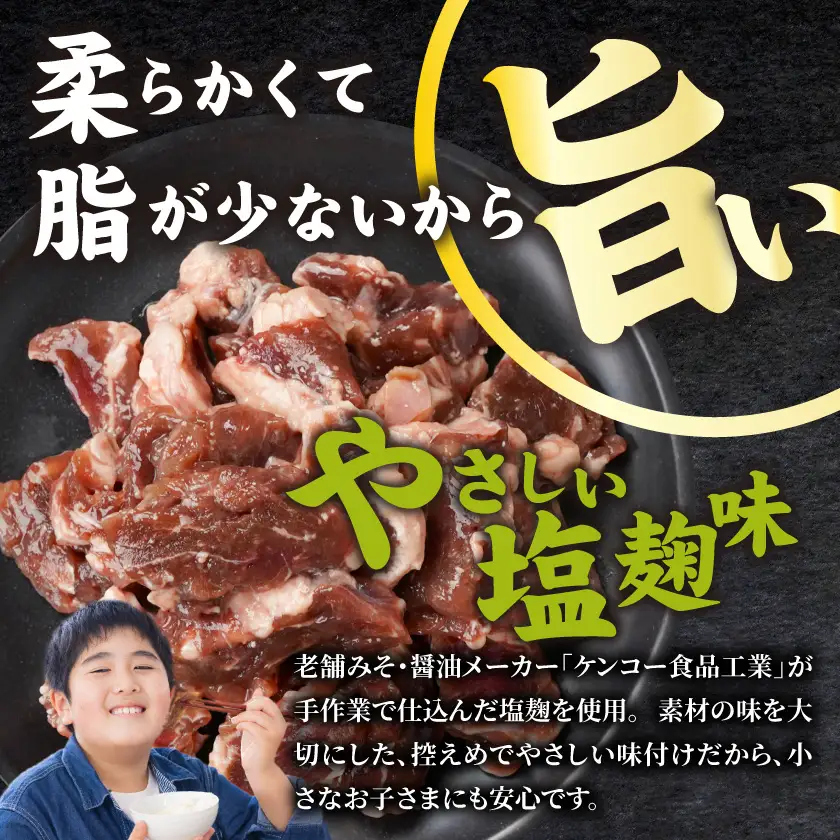牛ヒレ塩麹タレ漬け900g(焼肉用カット)〔LG-3330〕_(都城市) 