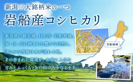 【新米受付・令和8年産米】新潟県村上市岩船産　岩船産コシヒカリ10kg（5kg×2袋）　1102002N