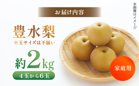 【先行予約】 川渕果樹園 豊水梨 約2kg 家庭用 〈2025年10月?発送〉 / 梨 なし ナシ 豊水 果物 フルーツ デザート 夏 秋 ヘルシー 健康 水分補給 【株式会社Dorago】[ATAM056]