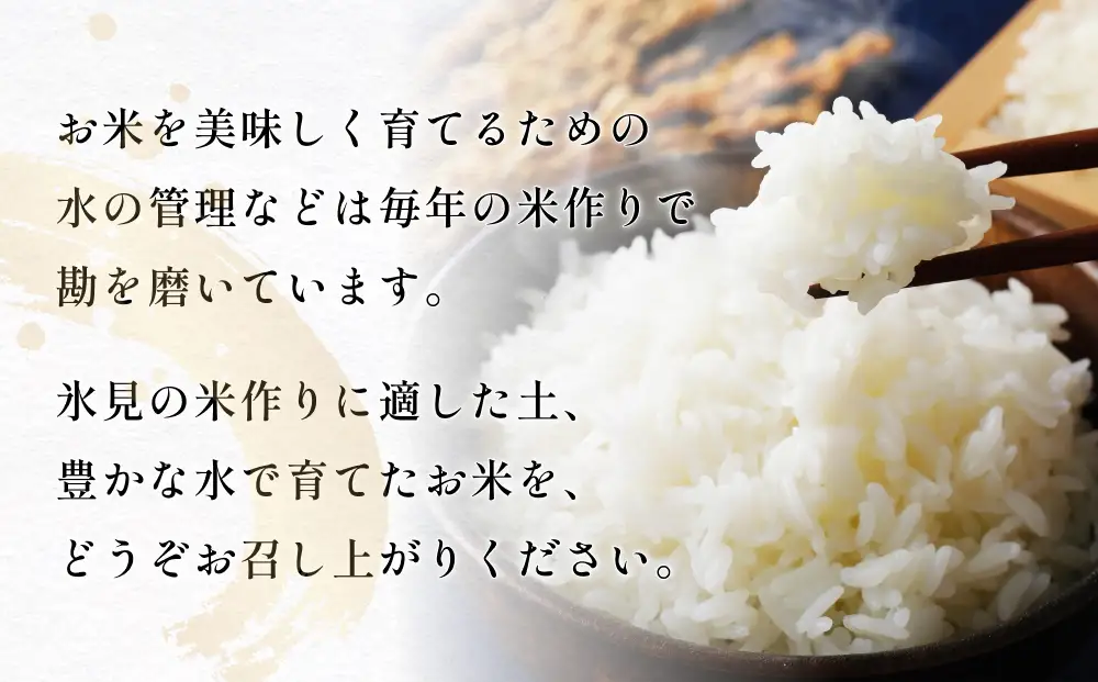 富山県産 コシヒカリ 5kg 精米