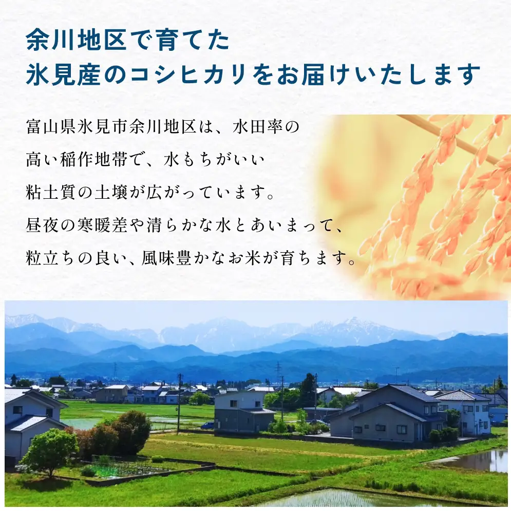 【5回定期便】富山県産 コシヒカリ 5kg