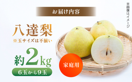 【先行予約】 川渕果樹園 八達梨 約2kg 家庭用 〈2025年10月?発送〉 / 梨 なし ナシ 果物 フルーツ デザート 秋 甘い ジューシー 【株式会社Dorago】[ATAM060]