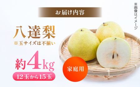 【先行予約】 川渕果樹園 八達梨 約4kg 家庭用 〈2025年10月?発送〉 / 梨 なし ナシ 果物 フルーツ デザート 秋 甘い ジューシー 【株式会社Dorago】[ATAM061]