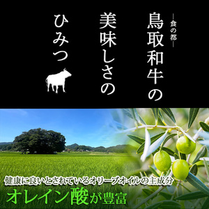 A5ランク 鳥取和牛シャトーブリアン 2枚 合計300g 牛肉 精肉 肉 カタセイ シャトーブリアン ヒレステーキ ヒレ ステーキ 肉 フィレステーキ ステーキ お肉 和牛 高級ヒレステーキ ヒレ肉 最高級 黒毛和牛 牛肉 お肉