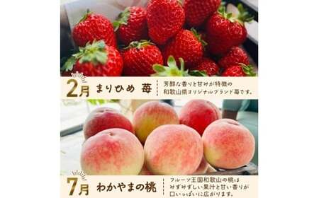わかやま 旬の フルーツ 定期便 【L】全4回 ※北海道・沖縄・離島への配送不可 （配送日時指定不可）/  有田みかん まりひめ いちご 桃 柿 【ard-tkb911】