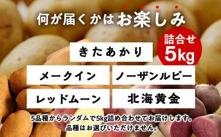 【2026年10月発送！】北海道産 じゃがいも 訳あり 5kg"お楽しみランダム"きたあかり メークイン ノーザンルビー レッドムーン 北海黄金
