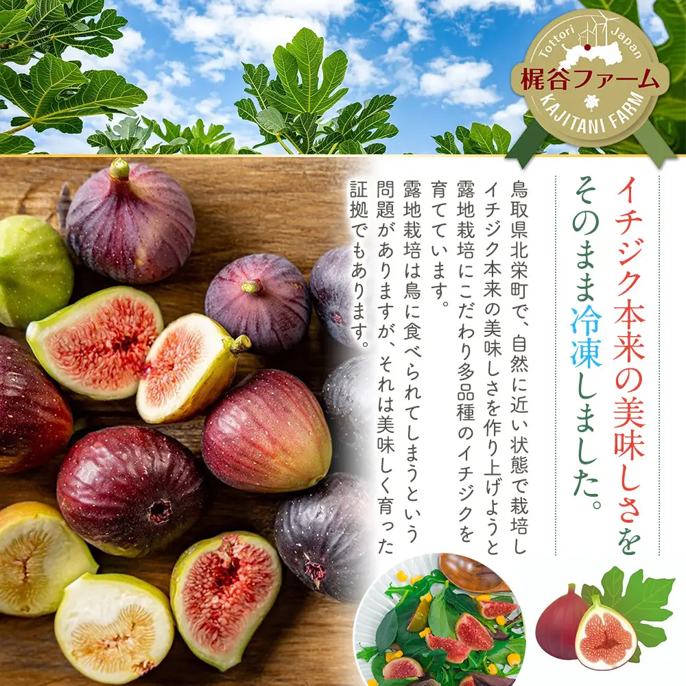 1004.冷凍いちじく（皮付き）1kg