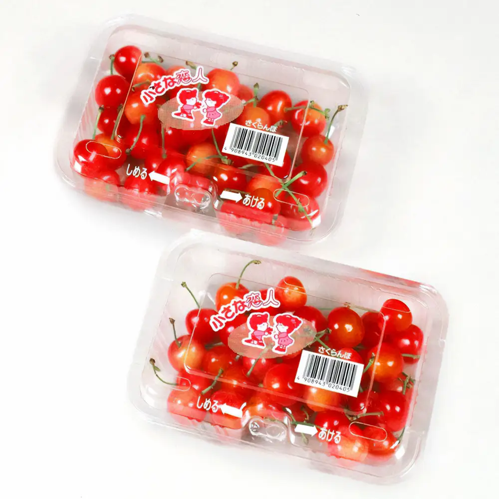 【先行予約】 さくらんぼ ご家庭用 佐藤錦 秀品 M玉以上 約360g 令和9年産 2027年産 山形県産 フルーツ 果物 tf-snpsm360