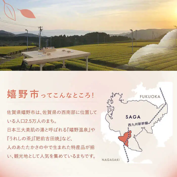佐賀県嬉野市まちづくり応援寄附金 7千円分 NZY957 嬉野市 寄附金