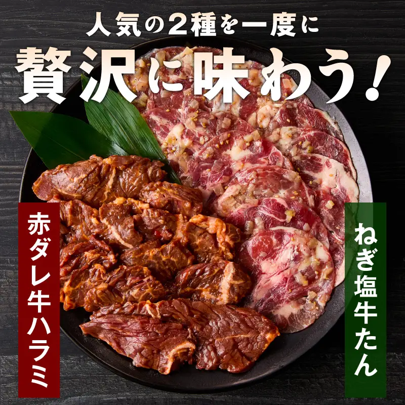 牛タン＆牛ハラミ お試し 1kg 焼肉セット