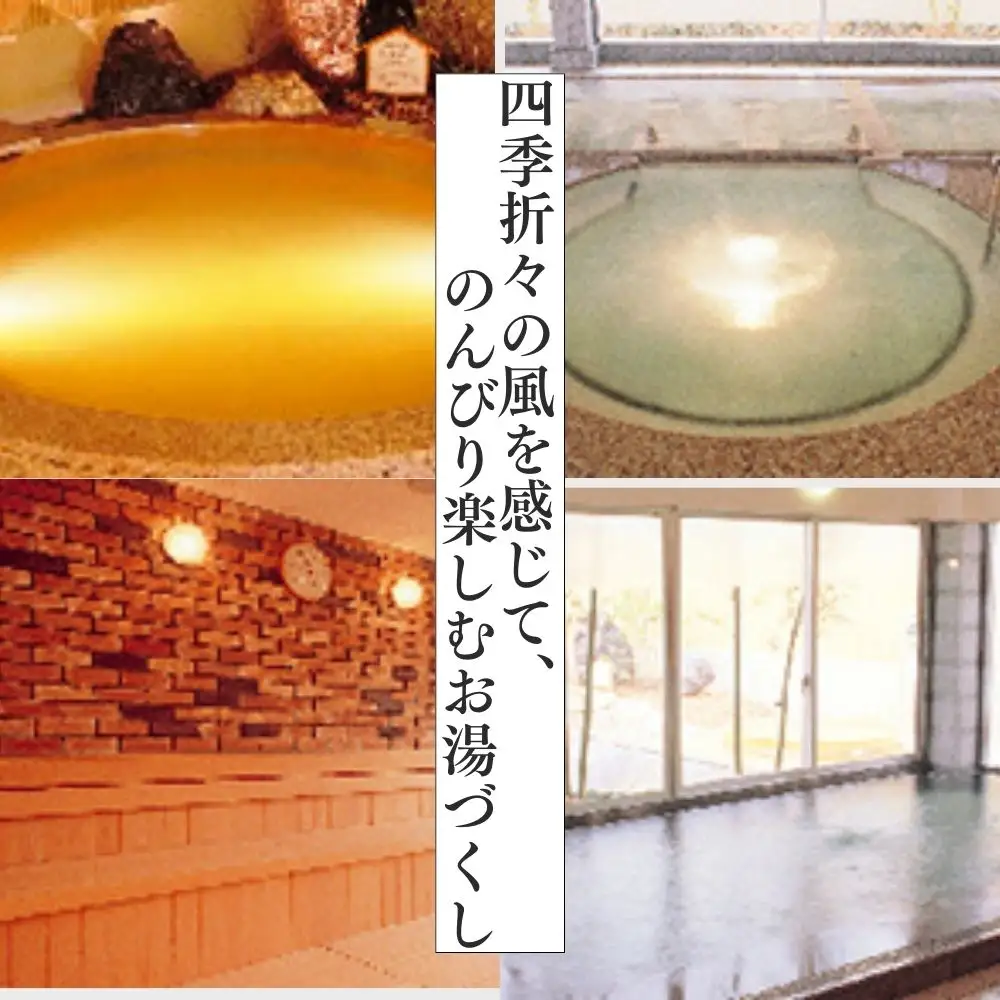 【ふるさと納税】天然温泉風の湯　大人入浴券10回分
