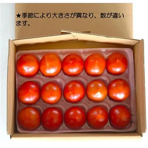 【事前受付】お試しサイズ!フルーツトマト「深層水トマト」約700g【濃厚な甘みと旨み】【配送不可地域：離島】【1650498】