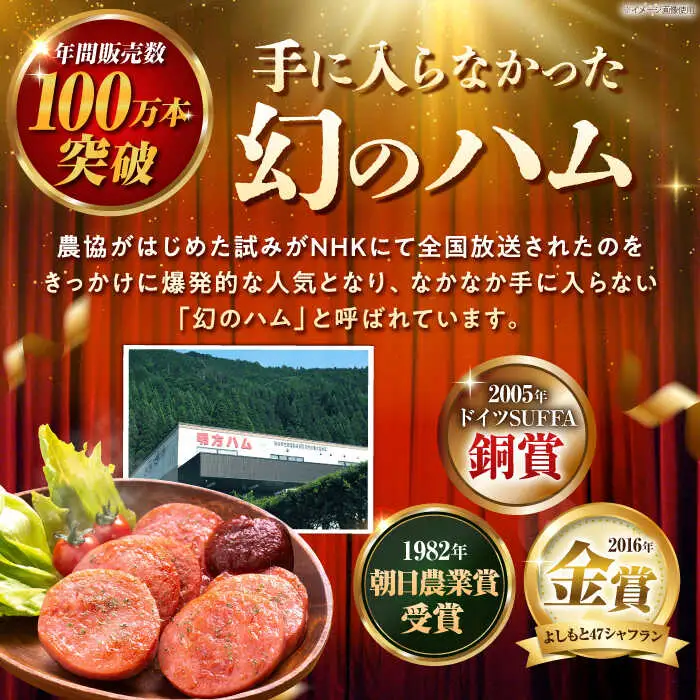 【12回定期便】明方ハム詰め合わせ Ａセット [AVBA005]明方 定期